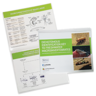 LaMotte 5882-DK-6 | Clave de identificación dicotómica para los macroinvertebrados de agua dulce
